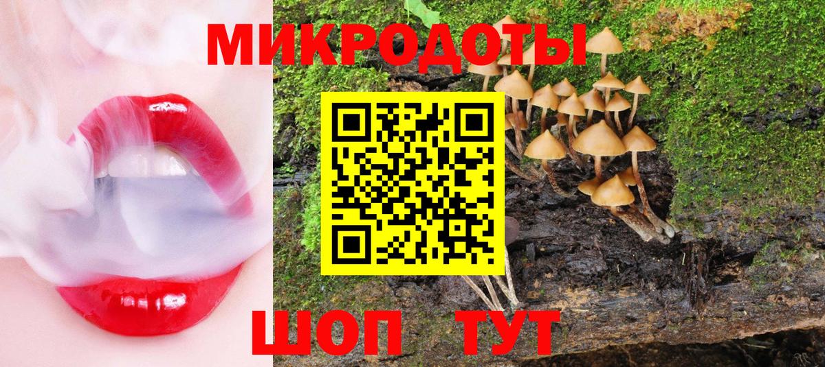 Александров  Галлюциногенные грибы Psilocybe  Вход с VPN  Псилоцибиновые грибы MAGIC MUSHROOMS 