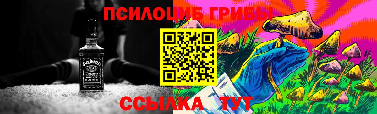 Псилоцибиновые грибы GOLDEN TEACHER Александров